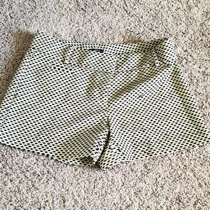 Loft b&w dressy shorts